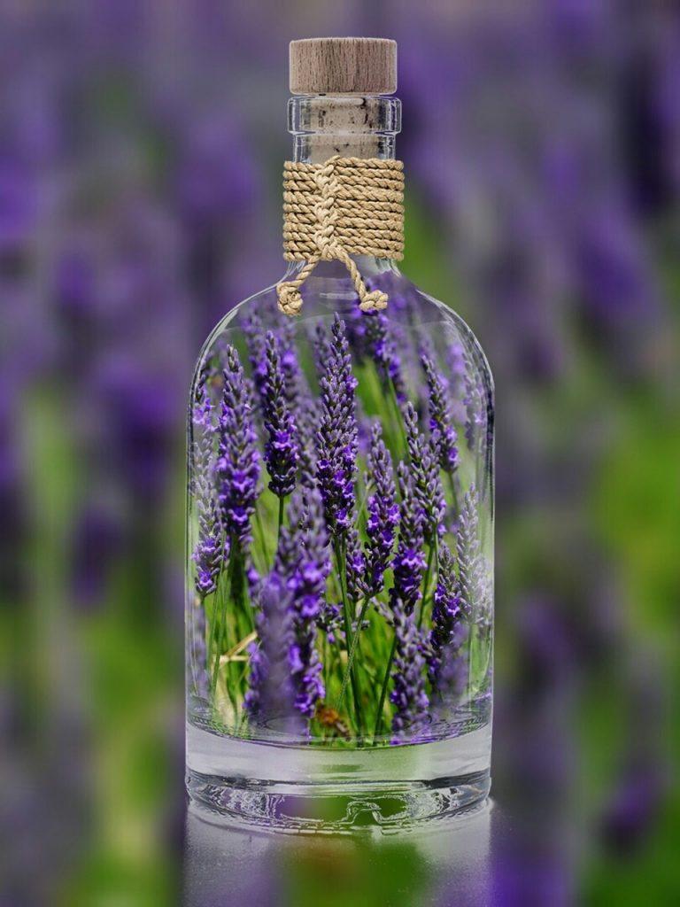 Propiedades del aceite esencial de lavanda